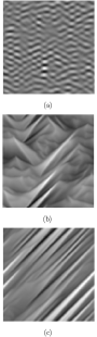 [bunching+wandering pattern]