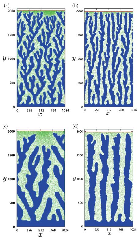 [comb pattern]