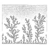 fractal growth ng=0.10