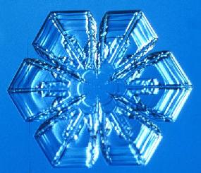 snow crystal
